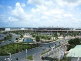 Vận chuyển đường hàng không tăng cao trong tháng đầu năm